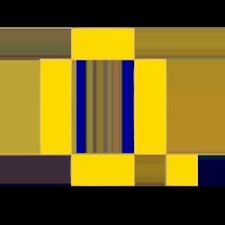 Quack AI logo